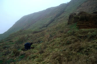 searching for N.turkii, 2011 searching for N.turkii, 2011